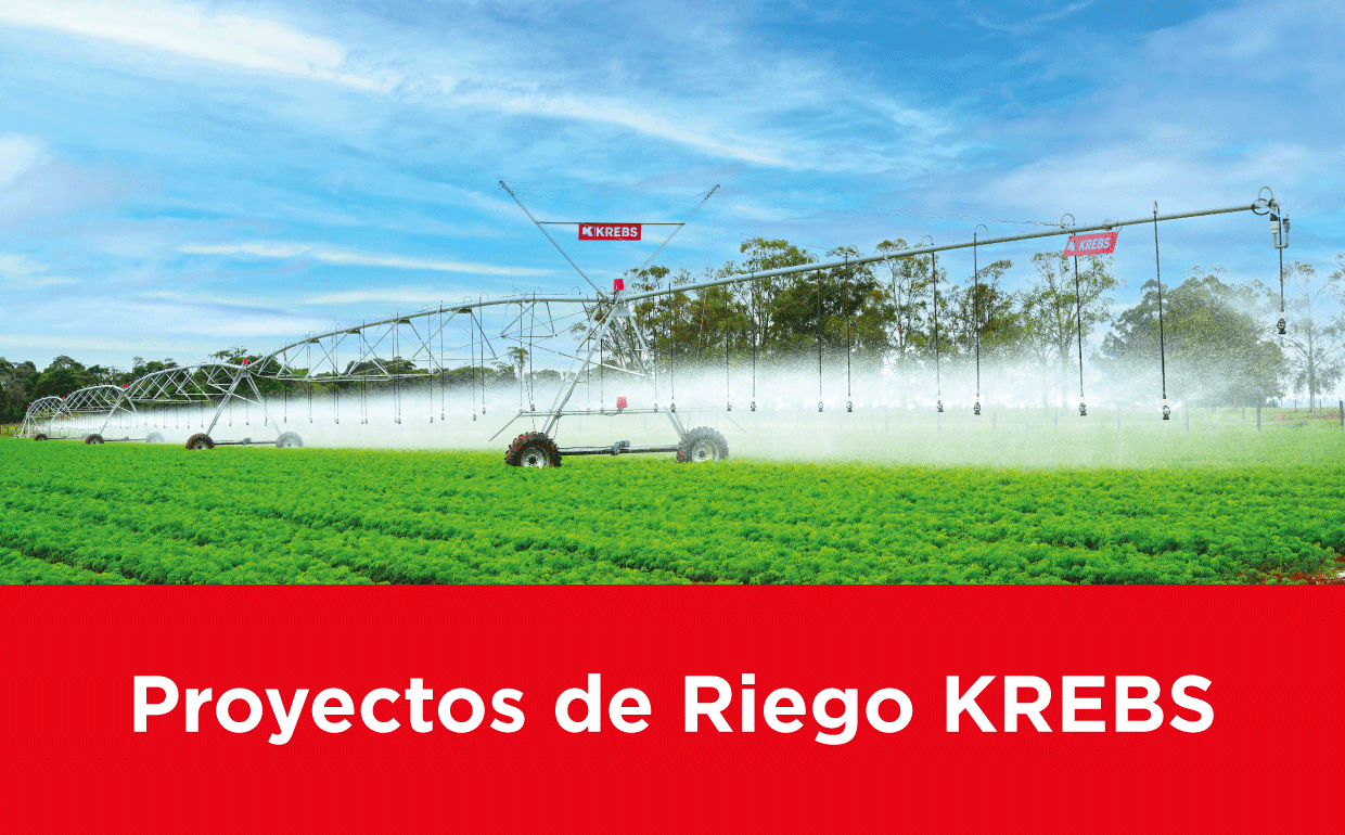 Você está visualizando atualmente Proyectos de Irrigación Krebs