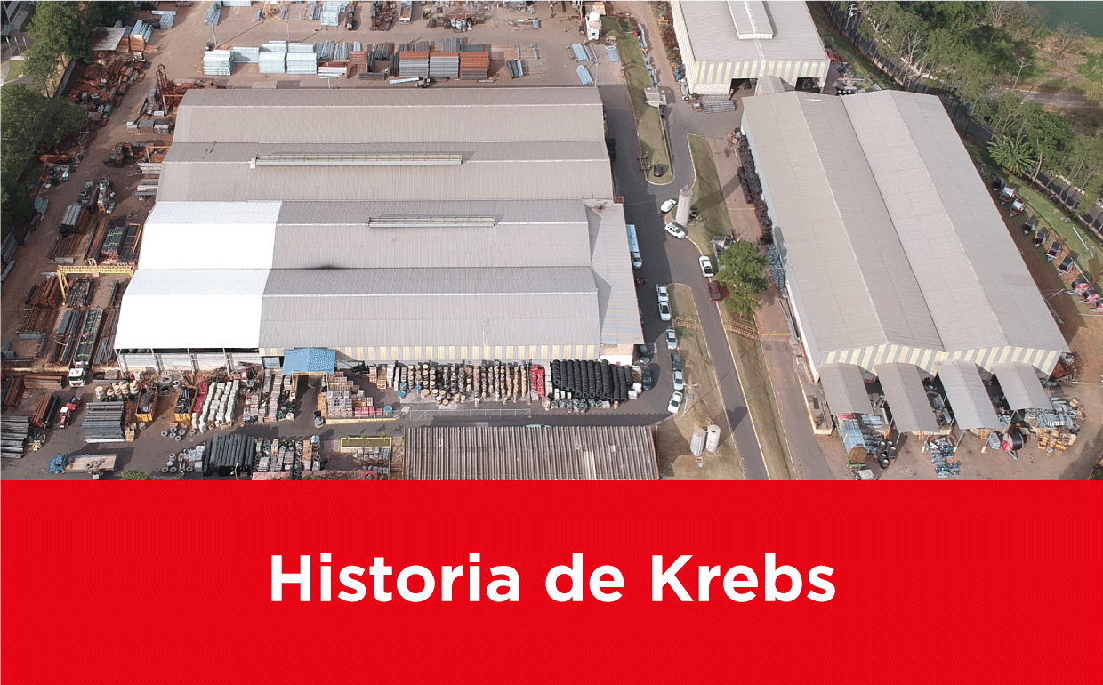 Você está visualizando atualmente Historia de Krebs